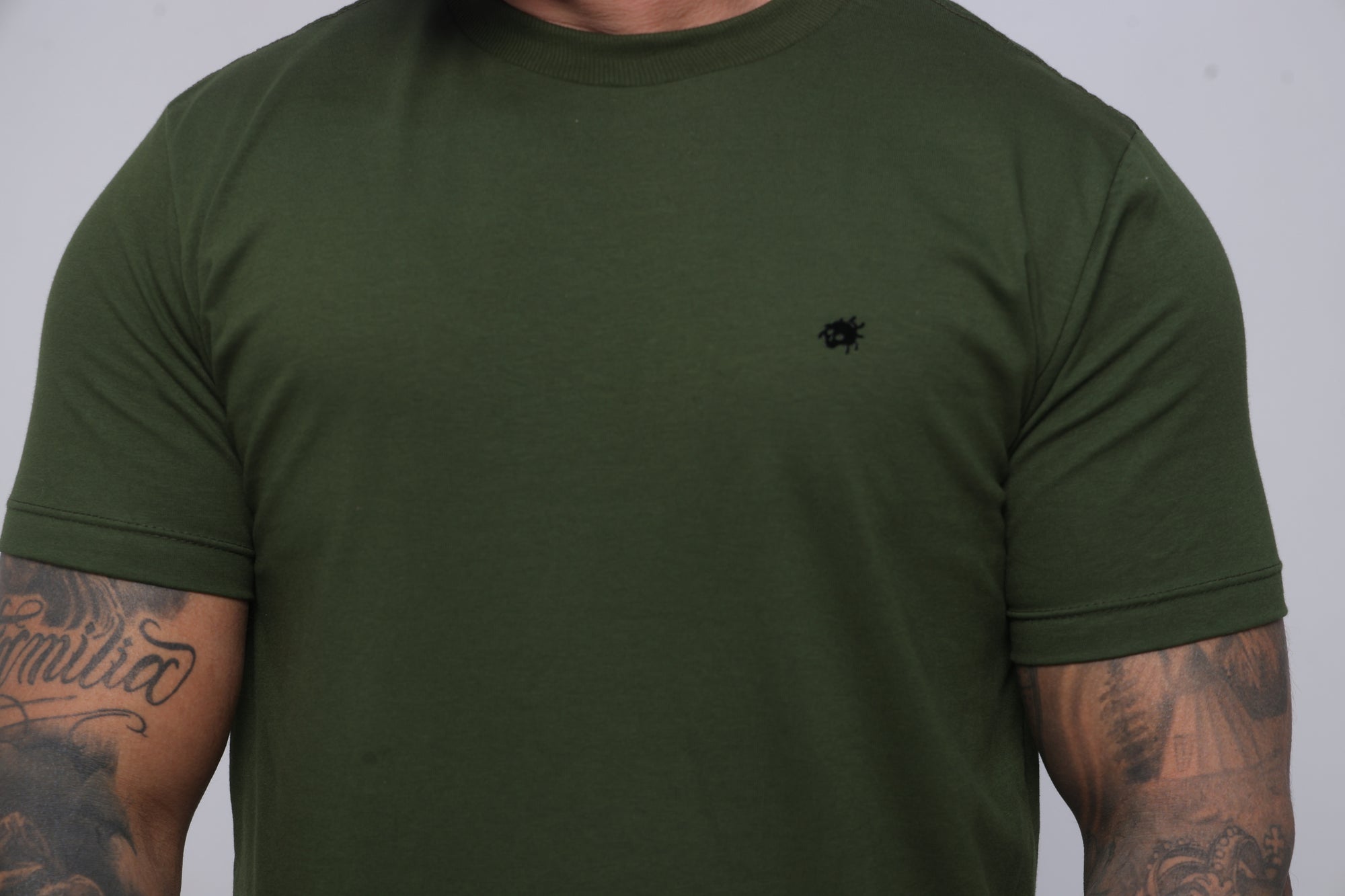 Camiseta regular básica verde